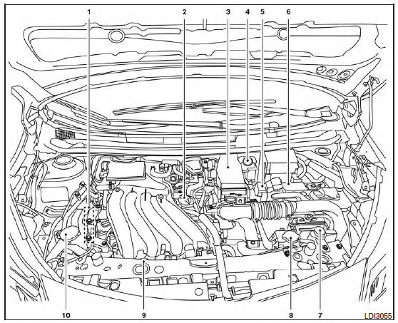 Engine compartment check locations