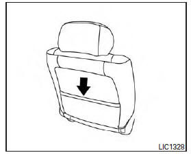 Seatback pocket (if so equipped) 