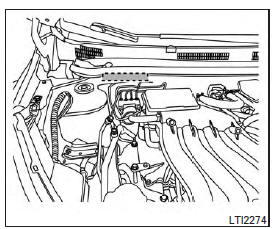 Vehicle identification number (chassis number) 