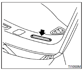 Vehicle identification number (VIN) plate 