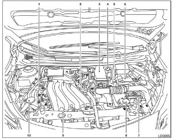 Engine compartment check locations