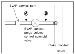 CHECK EVAP PURGE HOSE AND PURGE PORT