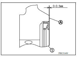 REAR OIL SEAL