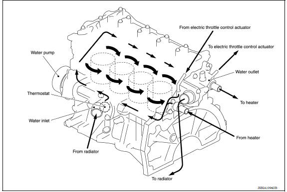 M/T models