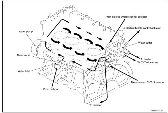 CVT and A/T models