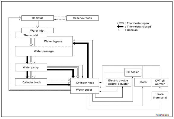 CVT and A/T models