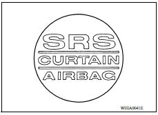 Side Curtain Air Bag Module 
